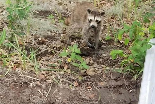 Tour image 10
